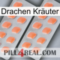 Drachen Kräuter 27